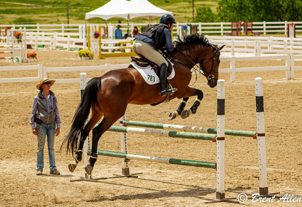Colorado Hunter Jumper Association For The People The Plaid Horse Magazine