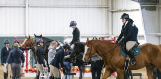 Trainer Tuesday: What is a basic exercise that you think every showing rider and horse should be able to do?