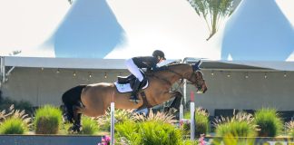 Bonita VH Keizershof Z and Ali Ramsay Sprout Wings in $32,000 1.50m Speed