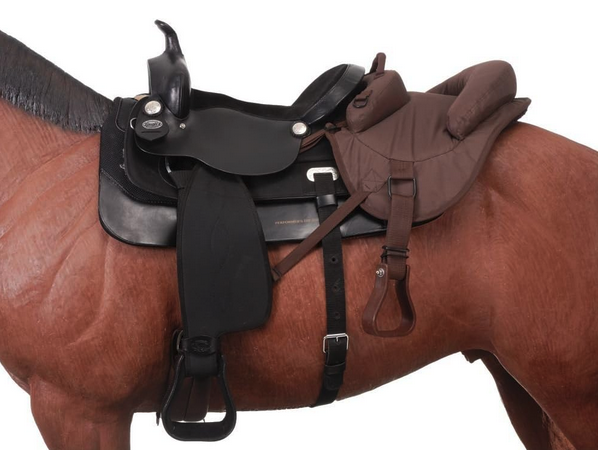 Mastering the Art of Riding: A Comprehensive Guide to the English ...