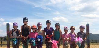 Get to Know HorseSense Learning Levels