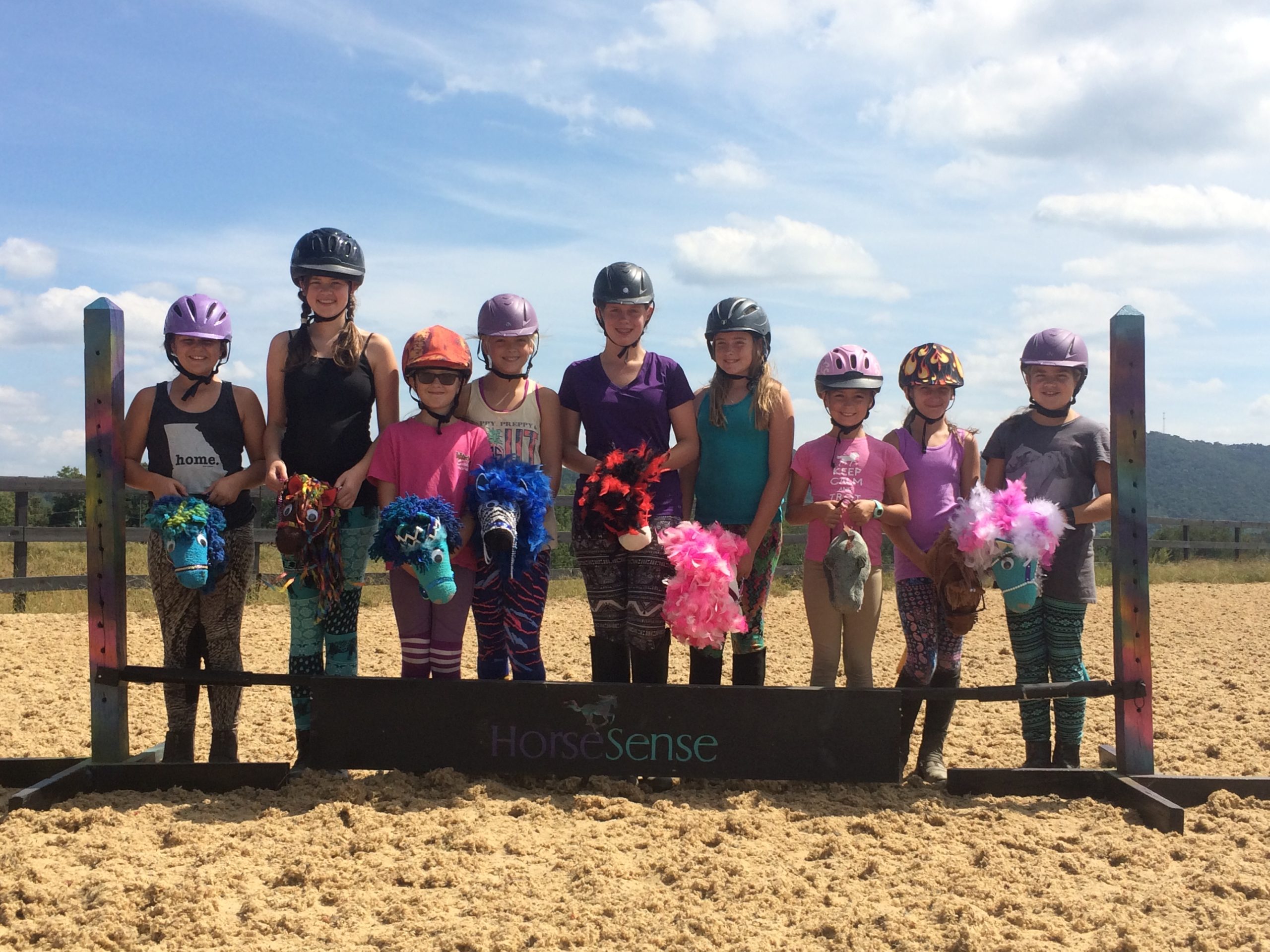 Get to Know HorseSense Learning Levels - The Plaid Horse Magazine
