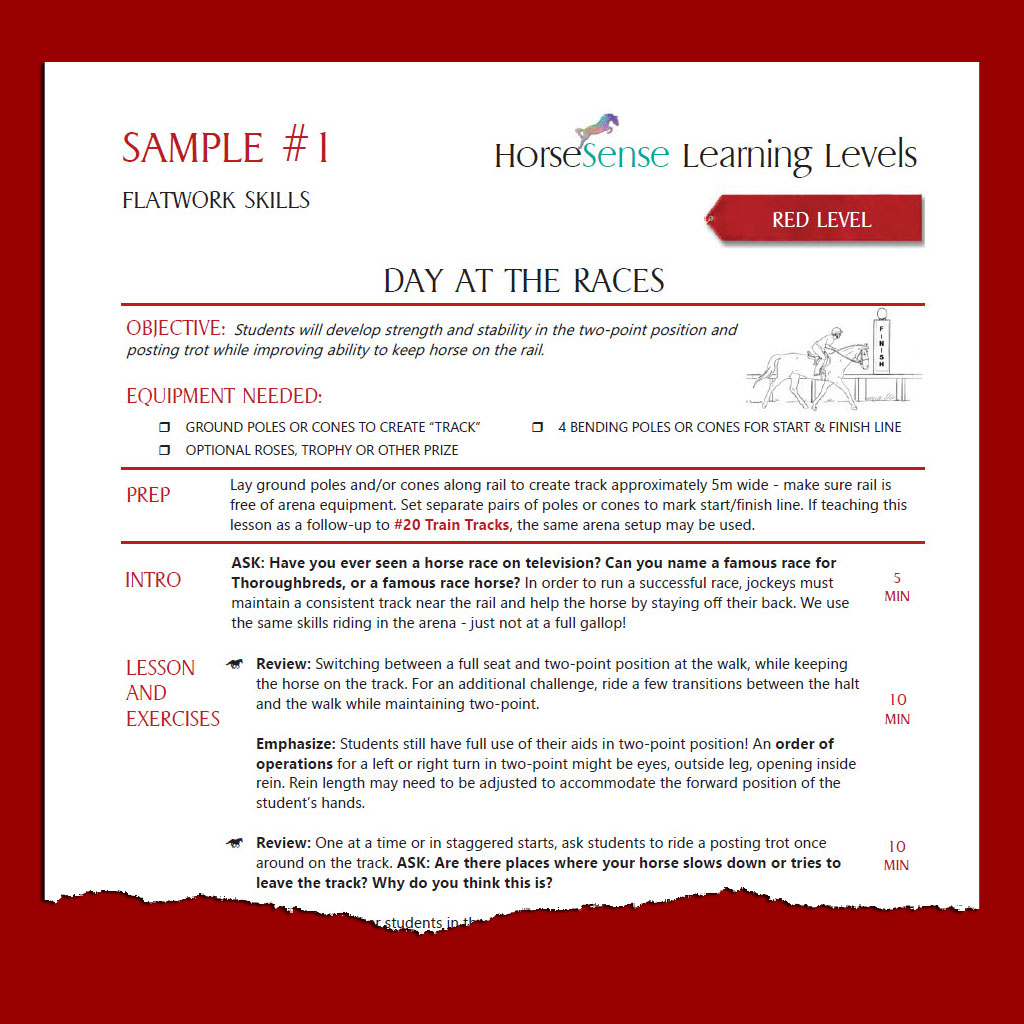 Get to Know HorseSense Learning Levels - The Plaid Horse Magazine