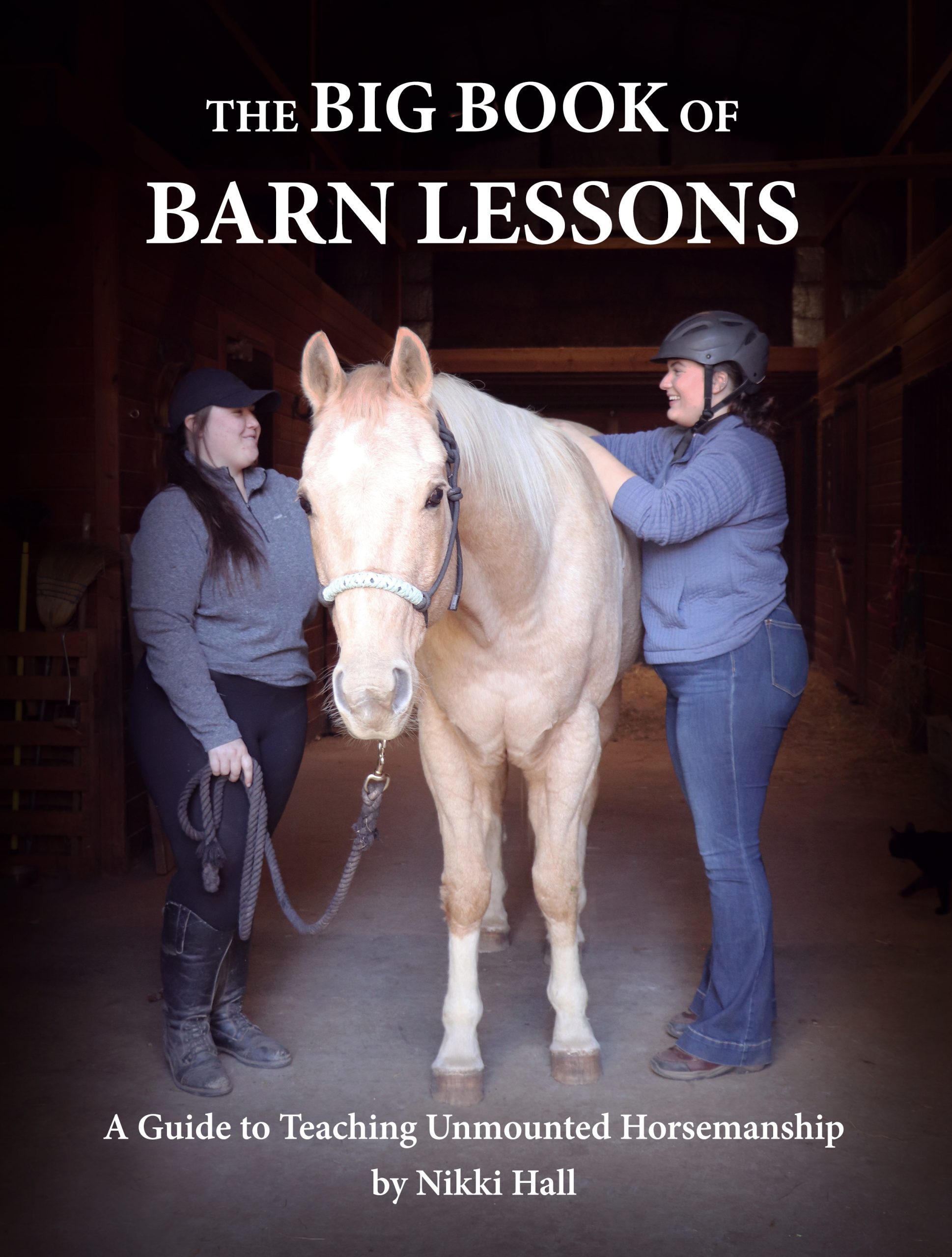 Get to Know HorseSense Learning Levels - The Plaid Horse Magazine