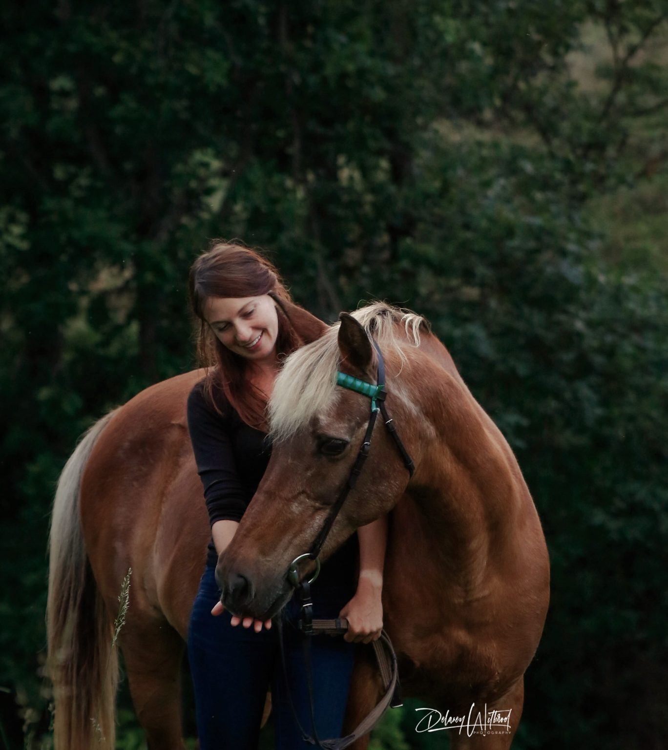 Get to Know HorseSense Learning Levels - The Plaid Horse Magazine