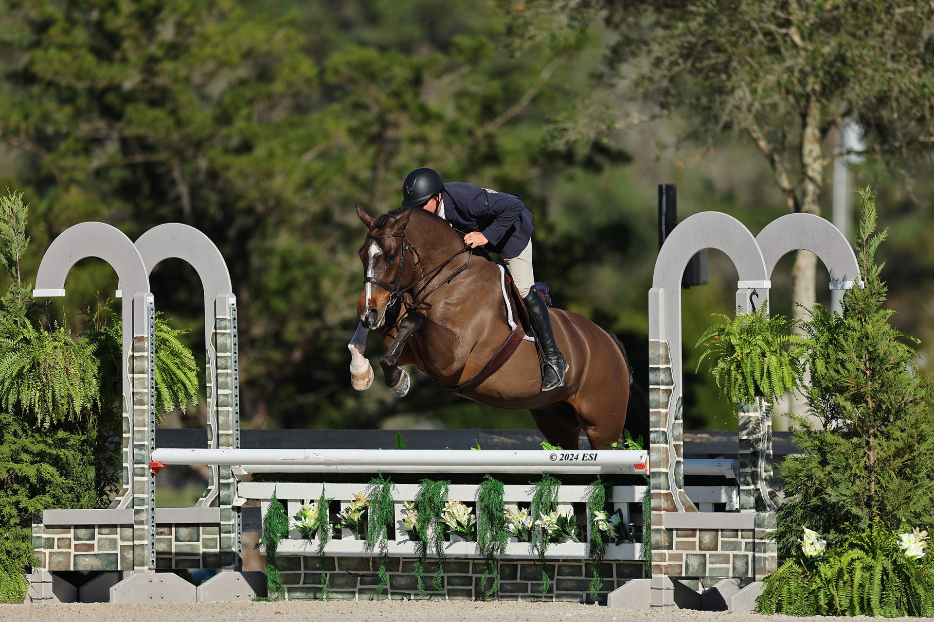 Comissario Conquers with Morgan Ward in $5,000 SmartPak USHJA National ...
