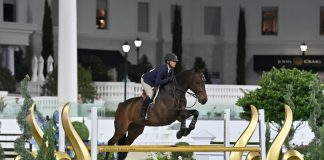 Favorite Edition Z and Eleanor Rudnicki Drive Away With the 2024 WEC Premier Equitation Cup Championship Powered by Gary Yeomans Ford