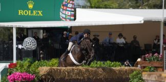 Mindful Defies Odds in USHJA International Hunter Derby Presented by BluCreeq Spirits