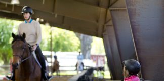 Is Simple Still Interesting Enough for Equestrians?
