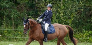 The Dressage Foundation Announces Recipients Of Para-Equestrian Dressage Fund Grants