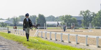 Anonymous Trainer Poll: “What is one radical change that you believe would completely change our industry for the better?”
