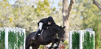 Pendleton Pins First with Jennifer Alfano in $10,000 SmartPak USHJA National Hunter Derby