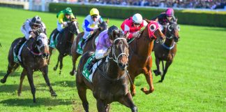 Four jockeys and trainers who have shone away from the spotlight this season