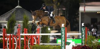 Twice is Nice for Mclain Ward During Horseware Ireland Week at Wellington International