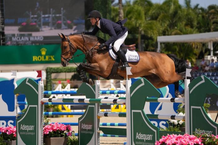 Mclain Ward & First