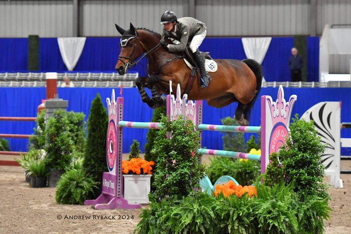 Nicolas Gamboa and NKH Vittorio S