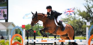 Sade de Rialfo Z and Daniel Geaney Secure the Win in the $20,000 Akerman 1.35m National Grand Prix at TerraNova Winter Series IV