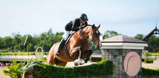 Lucio and Shannon E. Hicks Win the $5,000 USHJA National Hunter Derby, presented by Michael Saunders & Company at TerraNova Winter Series IV