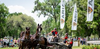 Will Simpson Wins at Live Oak International Aboard Keminko N. While Chester C. Weber Takes the Top Spot on the Four-In-Hand Marathon Phase