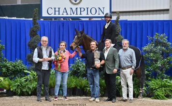 Vivant Comedy PS and Andres Torres Hernandez Finish Pin Oak Strong with Victory in $100,000 Hildebrand Fund Grand Prix