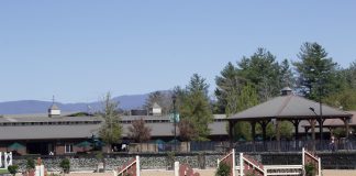 Akerman Launches One of the Largest Multistate and Multidisciplinary Legal Teams in the Equestrian Community
