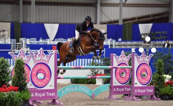 Mr. Jackson B and Martien van der Hoeven Make it Three in a Row in Pin Oak Welcome Stakes