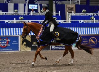 Chesterfield and Nada Wise are Best in $25,000 Olde Oaks Farm Hunter Classic at Pin Oak Charity Horse Show