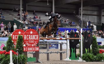 NKH Vittorio S, NKH Mr. Darcy, and Nicolas Gamboa Go One-Two in $50,000 R-C Ranch Grand Prix at Pin Oak Charity Horse Show