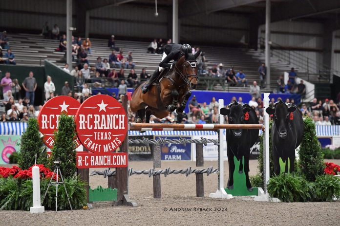 Nicolas Gamboa and NKH Vittorio S
