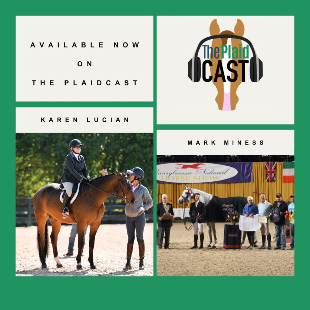 Plaidcast Episode 376 Mark Miness Karen Lucian