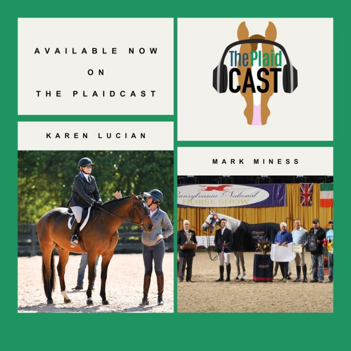 Plaidcast Episode 376 Mark Miness Karen Lucian