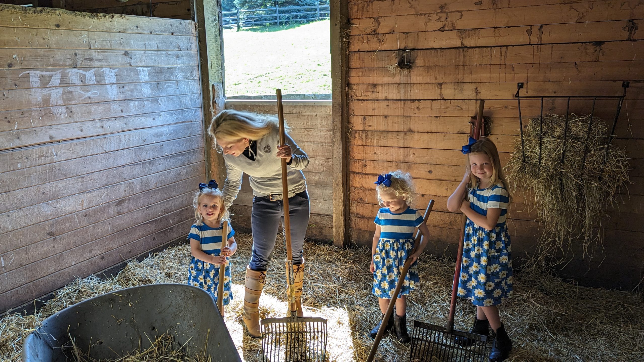 Dear Barn Owners of My Past - The Plaid Horse Magazine