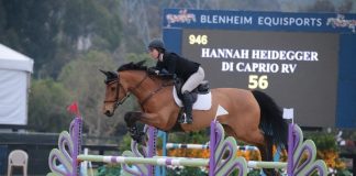 Di Caprio RV Wins April’s Show Jumping Hall of Fame Horse of the Month Award Sponsored by Markel