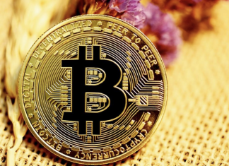 What makes Cardano’s blockchain unique and its coin a keeper?