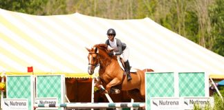 Hurry Up B with Makhloghi and Zonik Boom with Burke Record First Day Wins at Saratoga Classic II Show