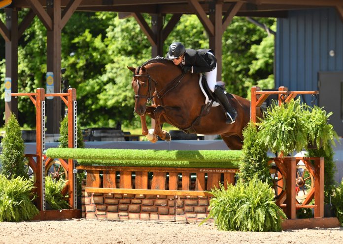 Nick Haness & Custom Romance