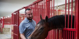 What is the Equine Microbiome?