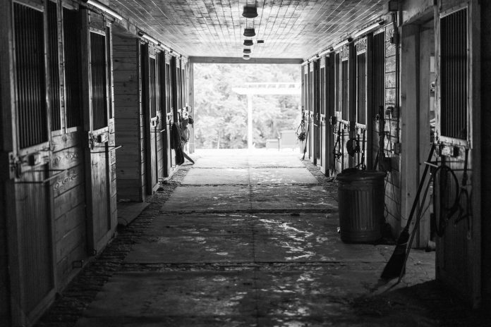 RabbitHillFarm_02