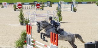Trainer Tuesday: How would you handle a horse jumping diagonally across the jump rather than straight through the middle?