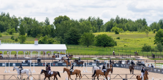 Trainer Tuesday: How Do You Work with a Horse Who is Frequently Above the Bit?