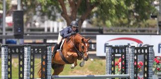 Clooney with Shauna Pennell and Lavender with Leslie Steele Claim USHJA Green Hunter Incentive Southwest Regional Championship Titles at Blenheim June Classic