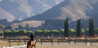 Equestrian Center in Temecula Proposed as the New Venue for Olympic LA28 Equestrian Events