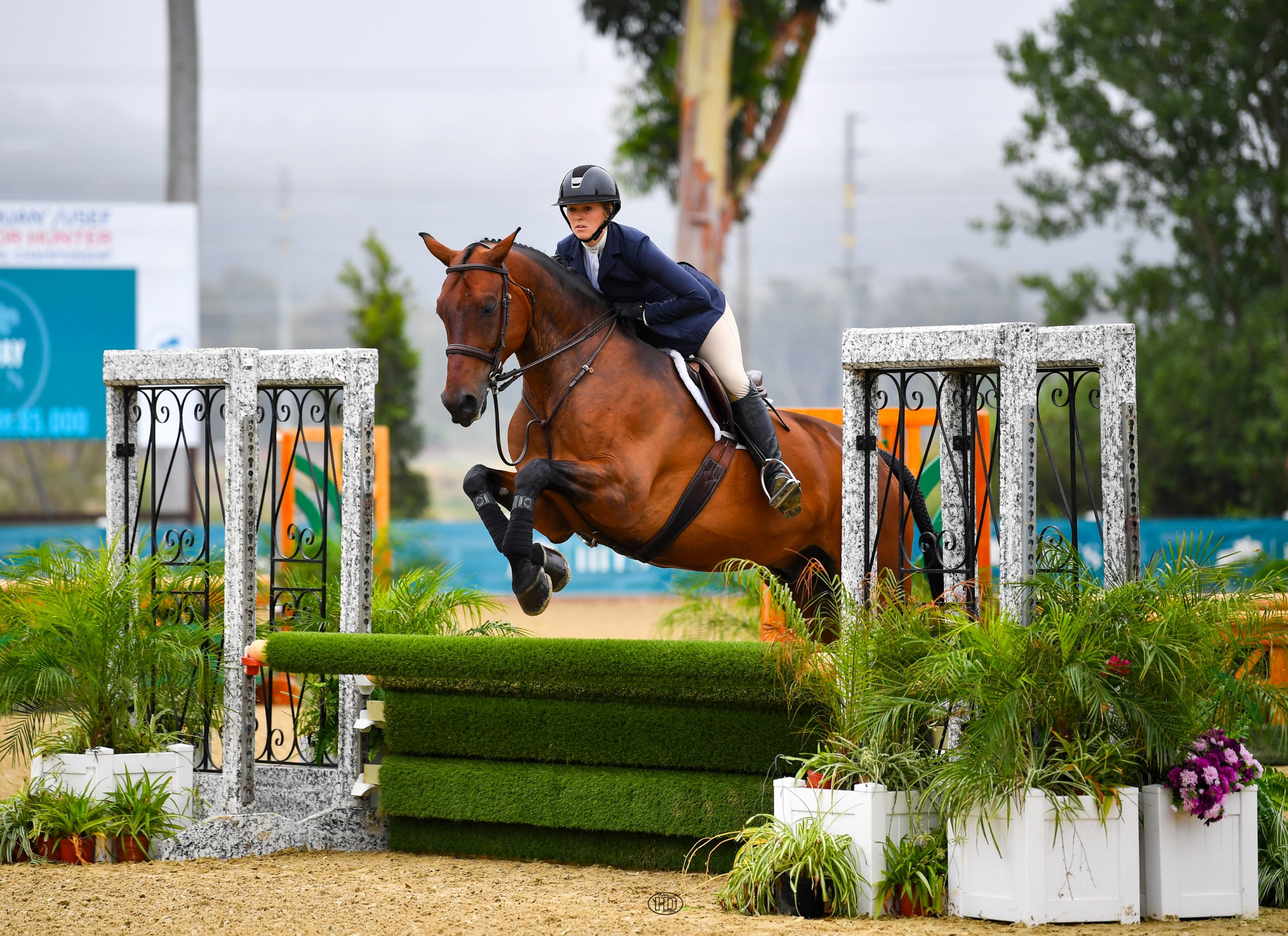 Sandor Z and Isabella Holway Come Out on Top in the Cartier