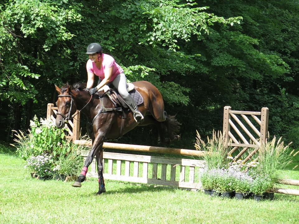 Hunter Paces What Are They and Why You Should Be Doing Them The