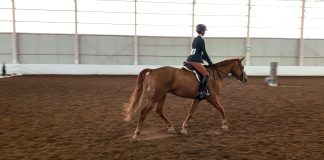 The Buffalo Horsemanship Challenge: Testing Horsemanship Skills Both In and Out of the Saddle
