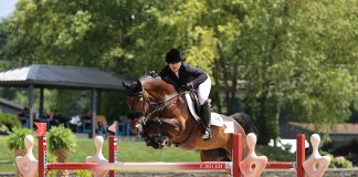 Nintendo and Megan McDermott Are at the Top of Their Game To Win the $62,480 CSI3* Welcome at HITS Hudson Valley