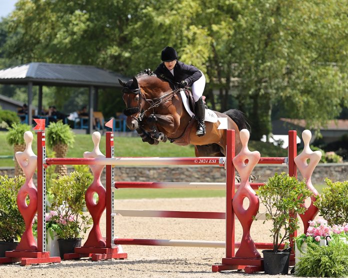 Megan McDermott and Nintendo