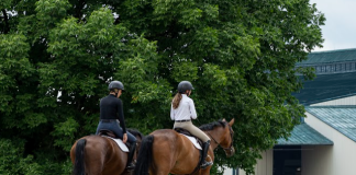 Helmet and College Shopping: The Relationship Between Value and Price