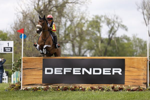 Premium Blue Flair Strips for Equestrian Performance
