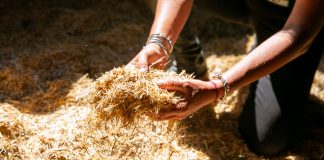 Natural Bedding: Using the Power of Miscanthus, the Sustainable Bedding Company is Changing the Way We Take Care of Our Horses